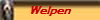 Welpen