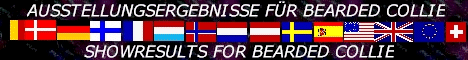 banner_show banner_show